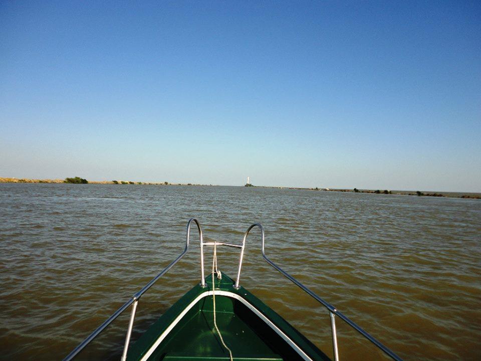 PLIMBARI IN DELTA  - 1014441.jpg